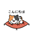 あなたのネコシリーズ6（個別スタンプ：3）