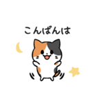あなたのネコシリーズ6（個別スタンプ：4）