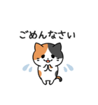 あなたのネコシリーズ6（個別スタンプ：10）