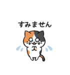 あなたのネコシリーズ6（個別スタンプ：11）
