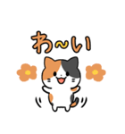 あなたのネコシリーズ6（個別スタンプ：17）