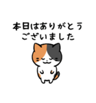 あなたのネコシリーズ6（個別スタンプ：27）