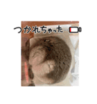 まっちゃん家族（個別スタンプ：5）