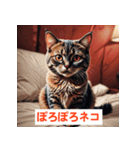 感情だだもれにゃんこ（個別スタンプ：19）