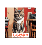 感情だだもれにゃんこ（個別スタンプ：34）