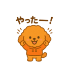 トイプードルたちの日常会話（個別スタンプ：1）