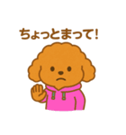 トイプードルたちの日常会話（個別スタンプ：8）