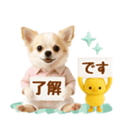 ラフな敬語の癒しチワワ（個別スタンプ：1）