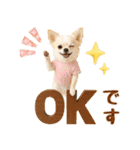 ラフな敬語の癒しチワワ（個別スタンプ：2）