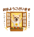 ラフな敬語の癒しチワワ（個別スタンプ：5）