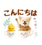 ラフな敬語の癒しチワワ（個別スタンプ：7）