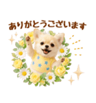 ラフな敬語の癒しチワワ（個別スタンプ：9）