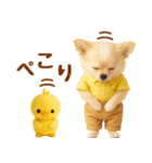 ラフな敬語の癒しチワワ（個別スタンプ：11）