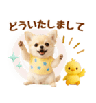 ラフな敬語の癒しチワワ（個別スタンプ：12）