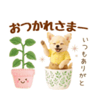 ラフな敬語の癒しチワワ（個別スタンプ：13）