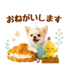 ラフな敬語の癒しチワワ（個別スタンプ：20）