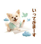 ラフな敬語の癒しチワワ（個別スタンプ：21）