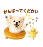 ラフな敬語の癒しチワワ（個別スタンプ：23）