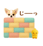 ラフな敬語の癒しチワワ（個別スタンプ：28）