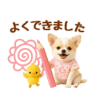 ラフな敬語の癒しチワワ（個別スタンプ：30）