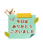 ラフな敬語の癒しチワワ（個別スタンプ：31）