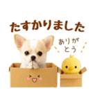 ラフな敬語の癒しチワワ（個別スタンプ：32）