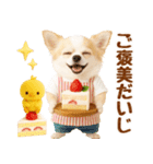 ラフな敬語の癒しチワワ（個別スタンプ：36）