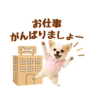 ラフな敬語の癒しチワワ（個別スタンプ：37）