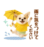 ラフな敬語の癒しチワワ（個別スタンプ：39）