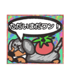 【落書き風2】シルバーダップルのダックス（個別スタンプ：6）