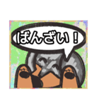 【落書き風2】シルバーダップルのダックス（個別スタンプ：12）