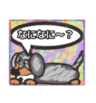 【落書き風2】シルバーダップルのダックス（個別スタンプ：25）