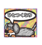 【落書き風2】シルバーダップルのダックス（個別スタンプ：34）