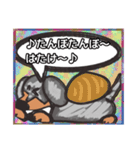 【落書き風2】シルバーダップルのダックス（個別スタンプ：36）