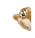 うさぎのフッくん4（個別スタンプ：3）