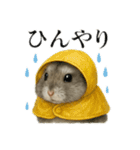 【梅雨入り】雨の日のハムスターの報告（個別スタンプ：9）
