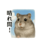 【梅雨入り】雨の日のハムスターの報告（個別スタンプ：11）