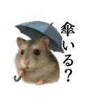 【梅雨入り】雨の日のハムスターの報告（個別スタンプ：14）