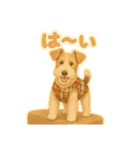 フォックステリアNOAHすたんぷ（個別スタンプ：5）