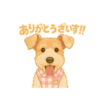 フォックステリアNOAHすたんぷ（個別スタンプ：6）