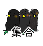 りょーの動物スタンプ4（個別スタンプ：19）