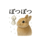 【梅雨入り】雨の日のうさぎの報告会話（個別スタンプ：5）