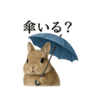 【梅雨入り】雨の日のうさぎの報告会話（個別スタンプ：10）