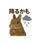 【梅雨入り】雨の日のうさぎの報告会話（個別スタンプ：14）