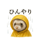 【梅雨入り】雨の日のフェレットの報告（個別スタンプ：5）
