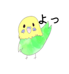かわいい色んな色のインコちゃん（個別スタンプ：1）