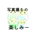 かわいい色んな色のインコちゃん（個別スタンプ：6）