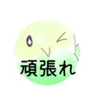 かわいい色んな色のインコちゃん（個別スタンプ：7）