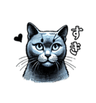 猫(ロシアンブルー)の表情が可愛いスタンプ（個別スタンプ：1）