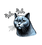 猫(ロシアンブルー)の表情が可愛いスタンプ（個別スタンプ：8）